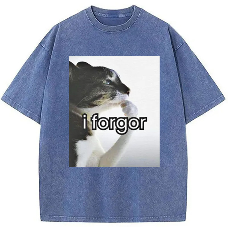 Modecanvas I Forgor Cat Meme Washed T-Shirt