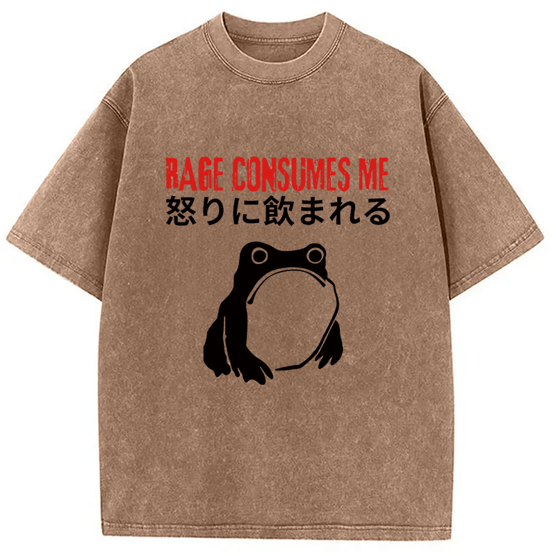 Modecanvas Rage Consumes Me Frog Meme DTG Printing Washed T-Shirt