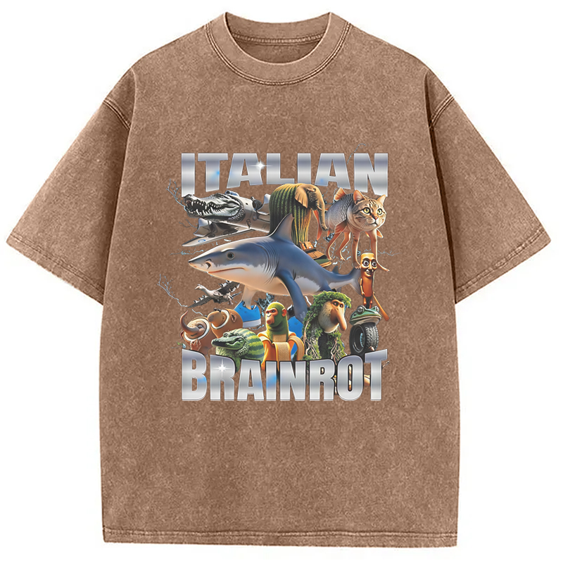 Modecanvas Italian Brainrot Washed T-Shirt