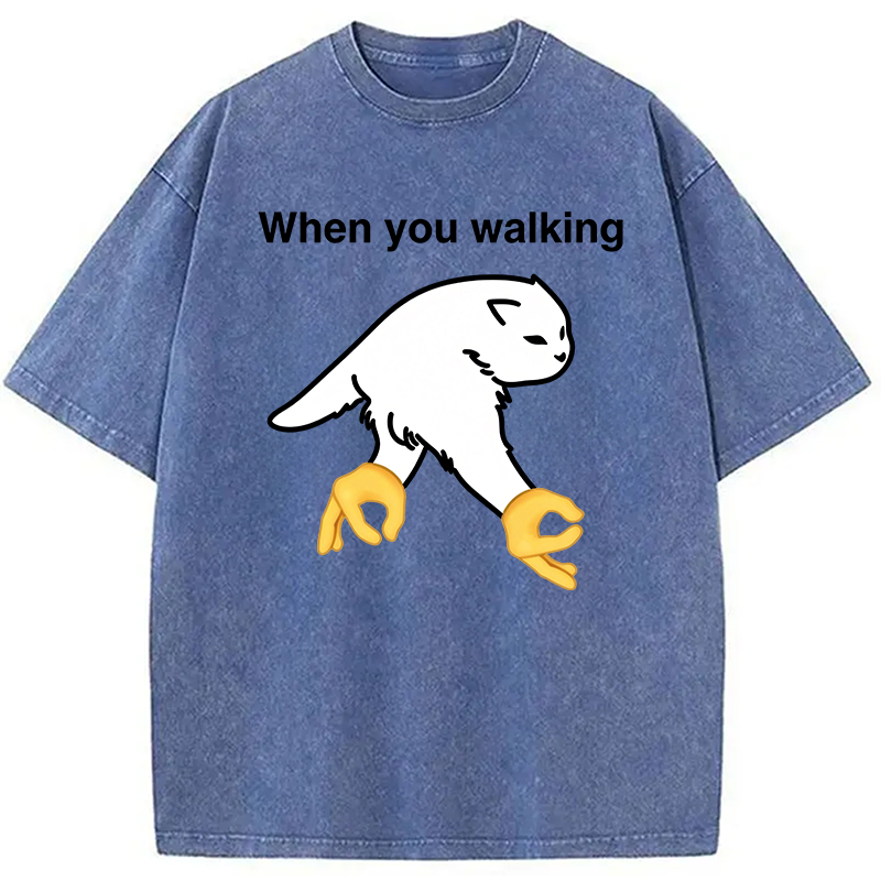Modecanvas When You Walking Cursed Cat Meme DTG Printing Washed T-Shirt