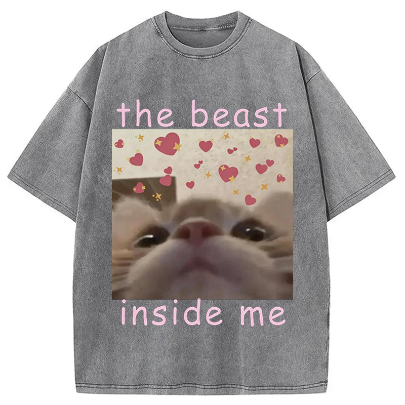 Modecanvas The beast inside me Cat Meme DTG Printing Washed T-Shirt