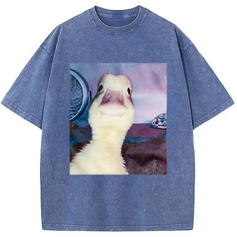 Modecanvas Duck Stare Funny Meme DTG Printing Washed T-Shirt