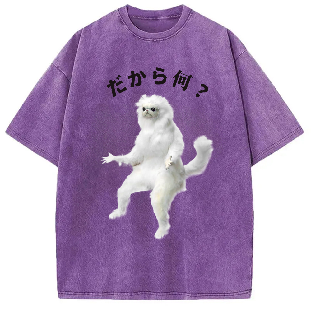 Modecanvas So What White Cat Meme Washed T-Shirt