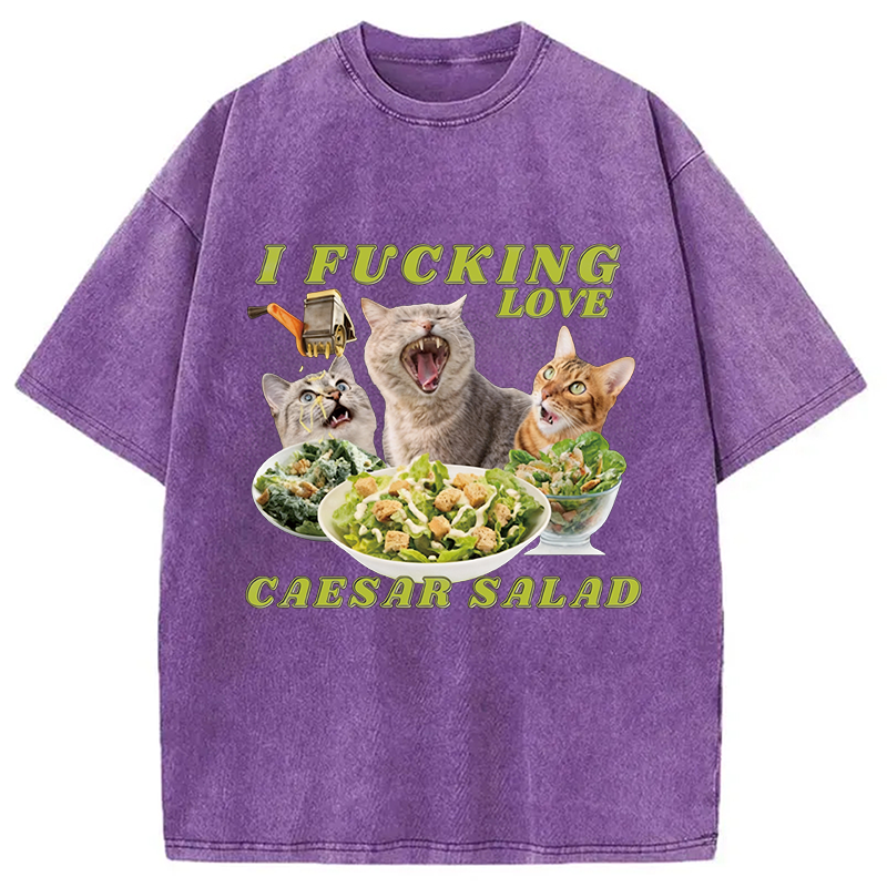 Modecanvas I Fucking Love Caesar Salad Cat Meme DTG Printing Washed T-Shirt