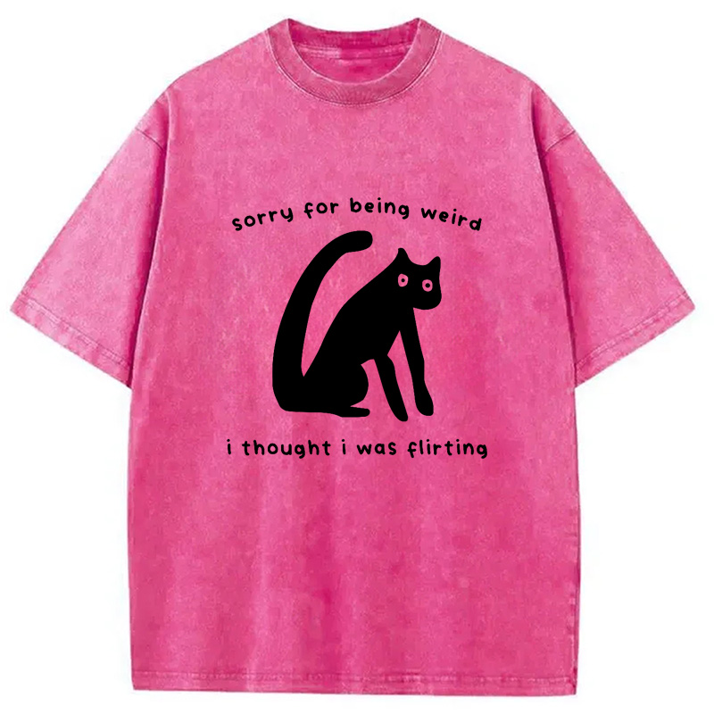 Modecanvas Sorry For Being Weird Washed T-Shirt