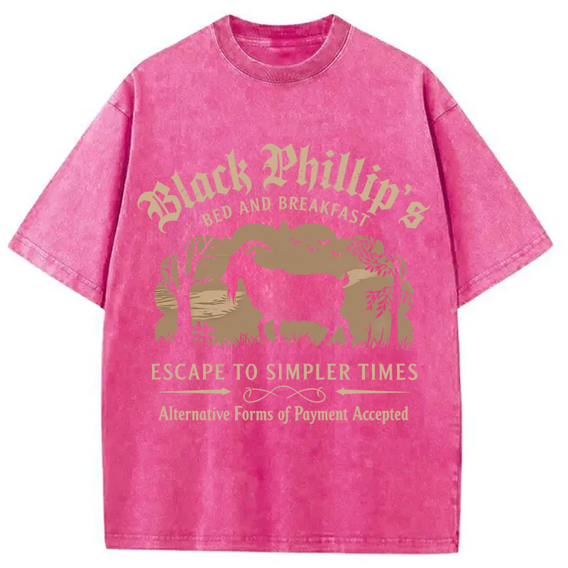 Modecanvas Black Phillip Bed & Breakfast DTG Printing Washed T-Shirt