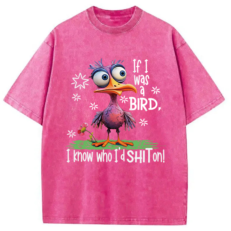 Modecanvas If I Was A Bird DTG Printing Washed T-Shirt