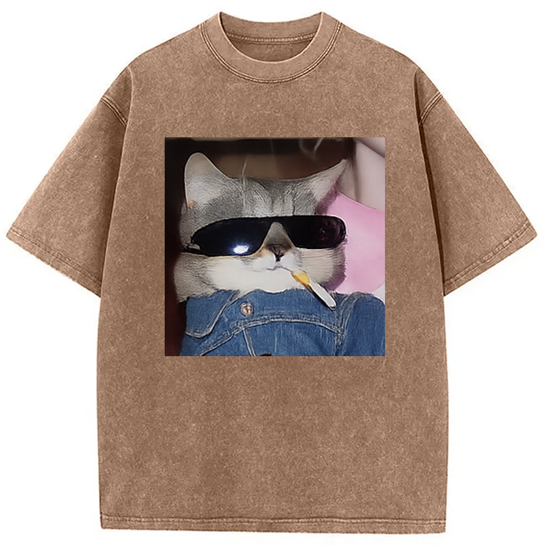 Modecanvas Funny Smoking Cat Meme Washed T-Shirt