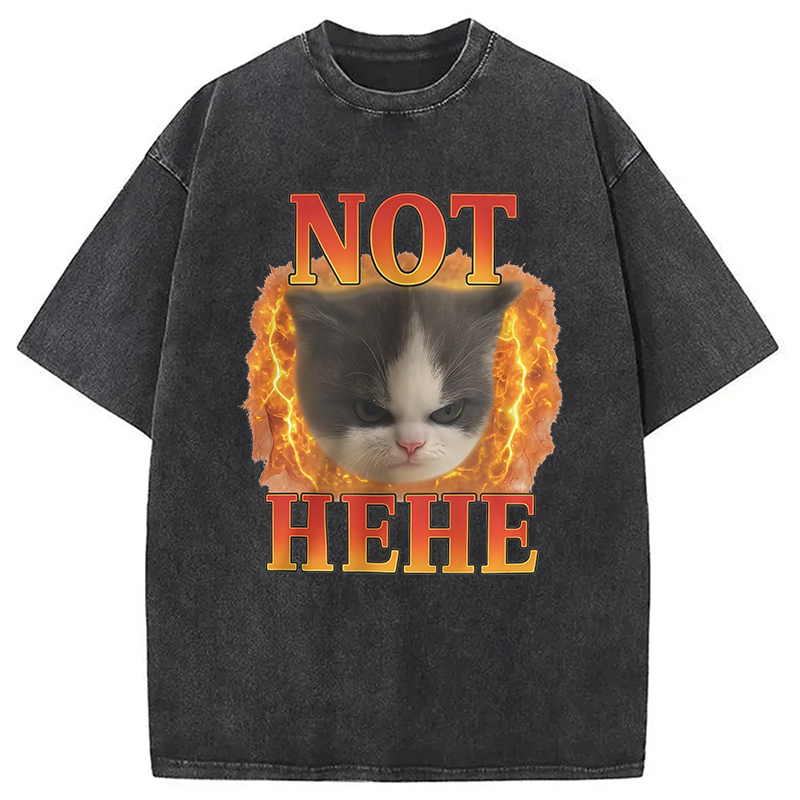 Modecanvas NOT HEHE Funny Cat Meme Washed T-Shirt