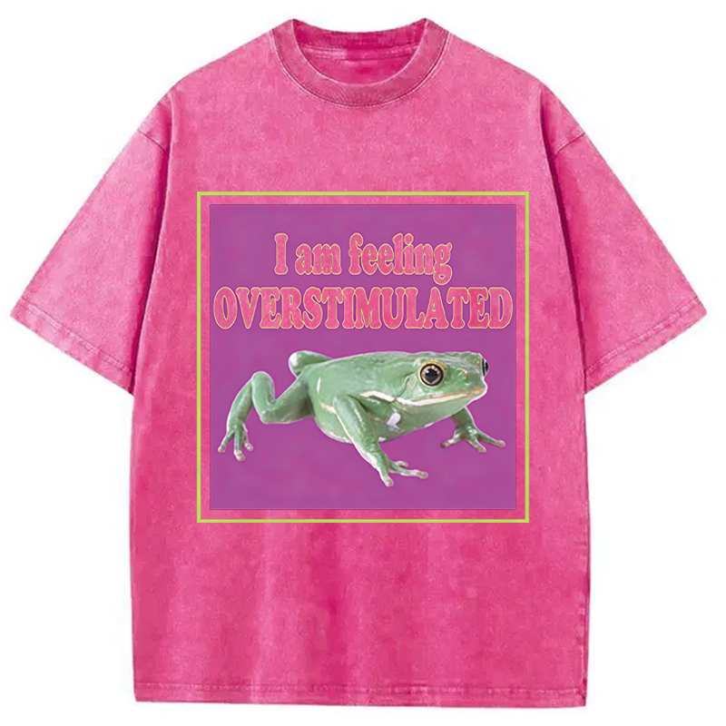 Modecanvas I Am Feeling Overstimulated DTG Printing Washed T-Shirt