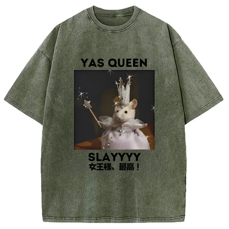 Modecanvas Yasss Queen Slay Meme Washed T-Shirt