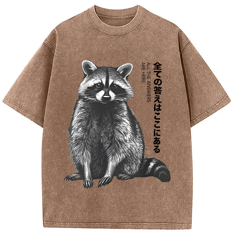 Modecanvas Funny Kawaii Raccoon Washed T-Shirt