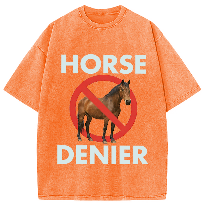 Modecanvas Funny Horse Denier Conspiracy Theory Washed T-Shirt-modecanvas