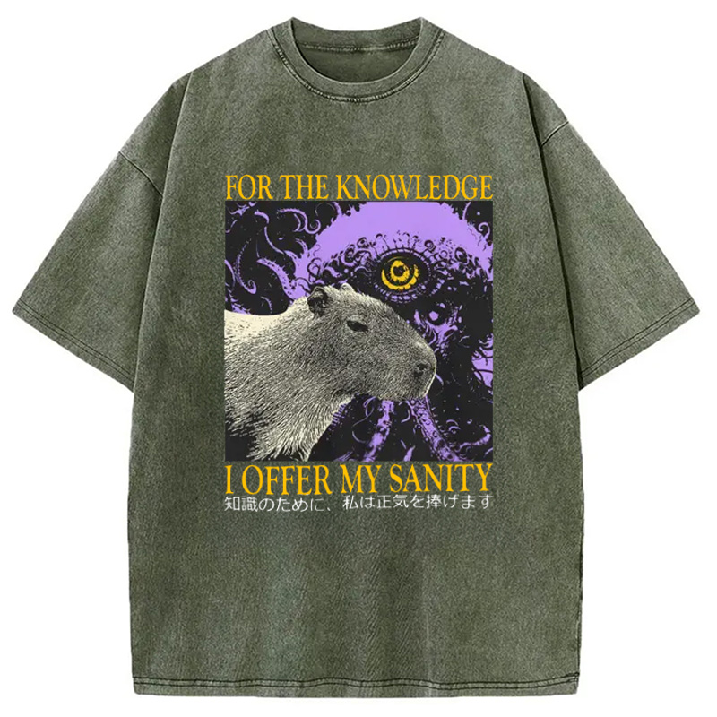 Modecanvas I Offer My Sanity Vintage Japanese Capybara Washed T-Shirt