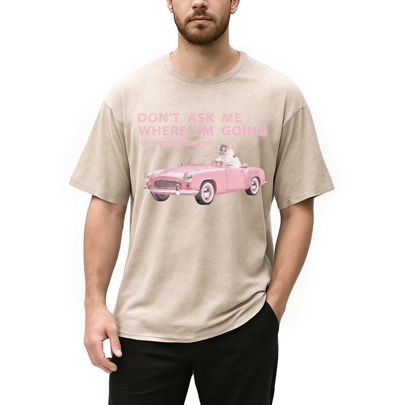 Modecanvas Im Going Insane Cat Meme DTG Printing Washed T-Shirt