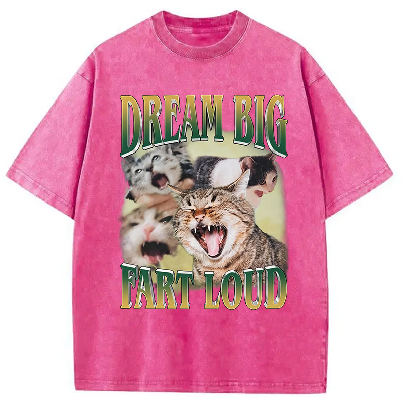 Modecanvas Dream Big Fart Loud Funny Cat Meme DTG Printing Washed T-Shirt