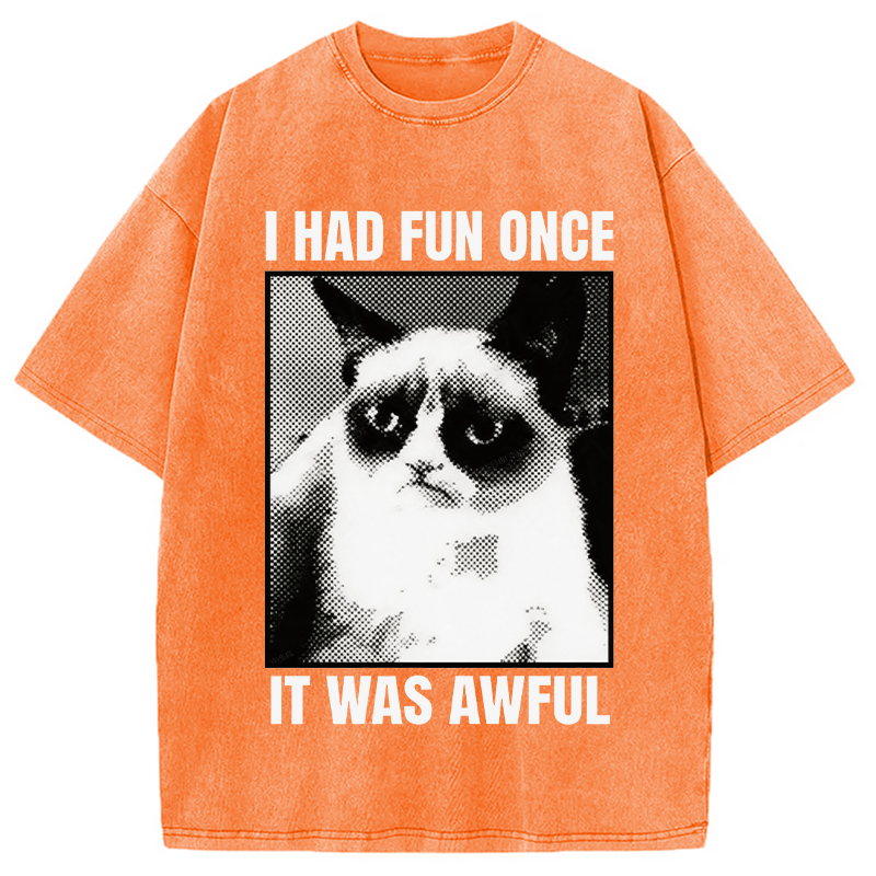 Modecanvas I Had Fun Once It Was Awful Cat Meme DTG Printing Washed T-Shirt