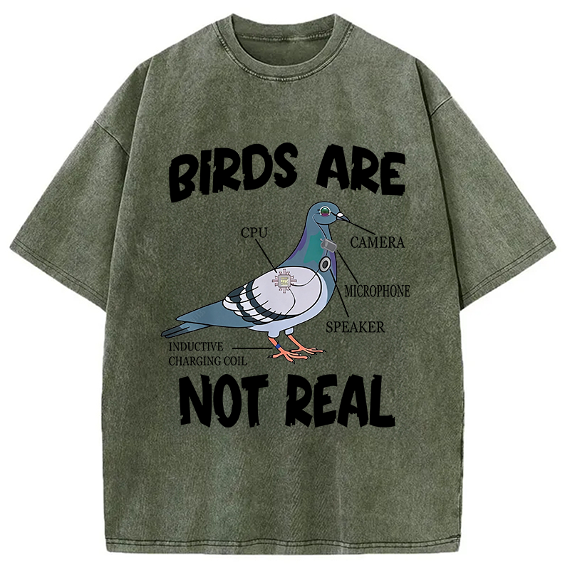 Modecanvas Pigeon Birds Are Not Real Funny DTG Printing Washed T-Shirt
