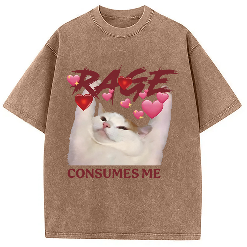 Modecanvas Rage Consumes Me Funny Cat Meme DTG Printing Washed T-Shirt
