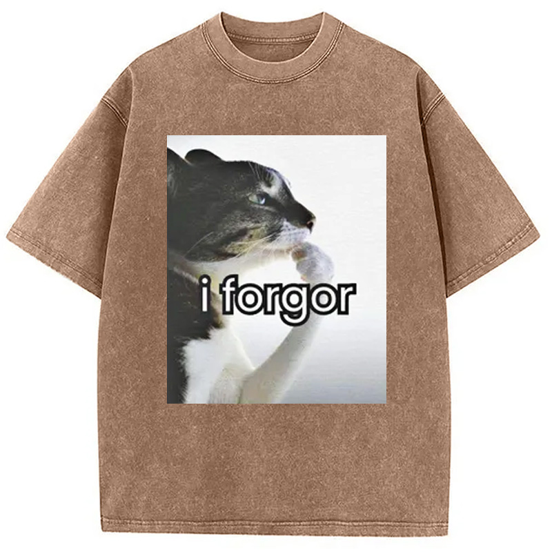 Modecanvas I Forgor Cat Meme Washed T-Shirt
