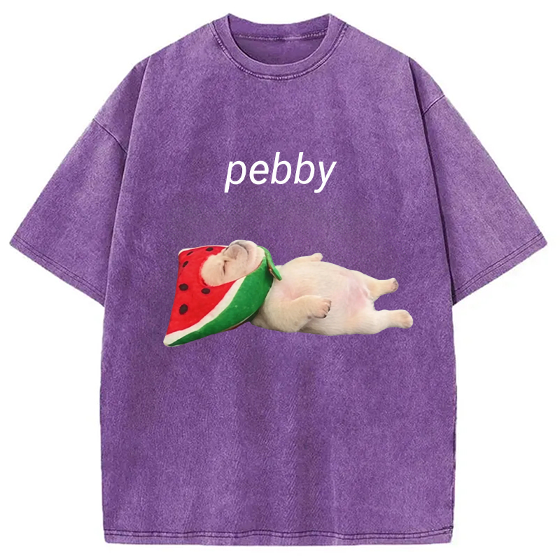 Modecanvas Funny Pibble Dog Meme DTG Printing Washed T-Shirt