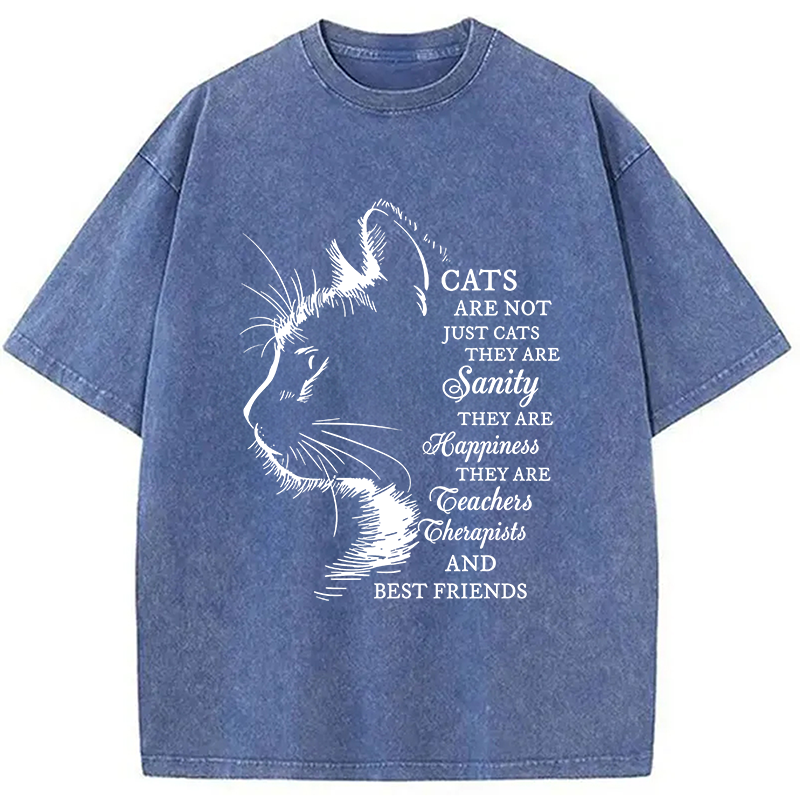 Modecanvas Cat Best Friend DTG Printing Washed T-Shirt