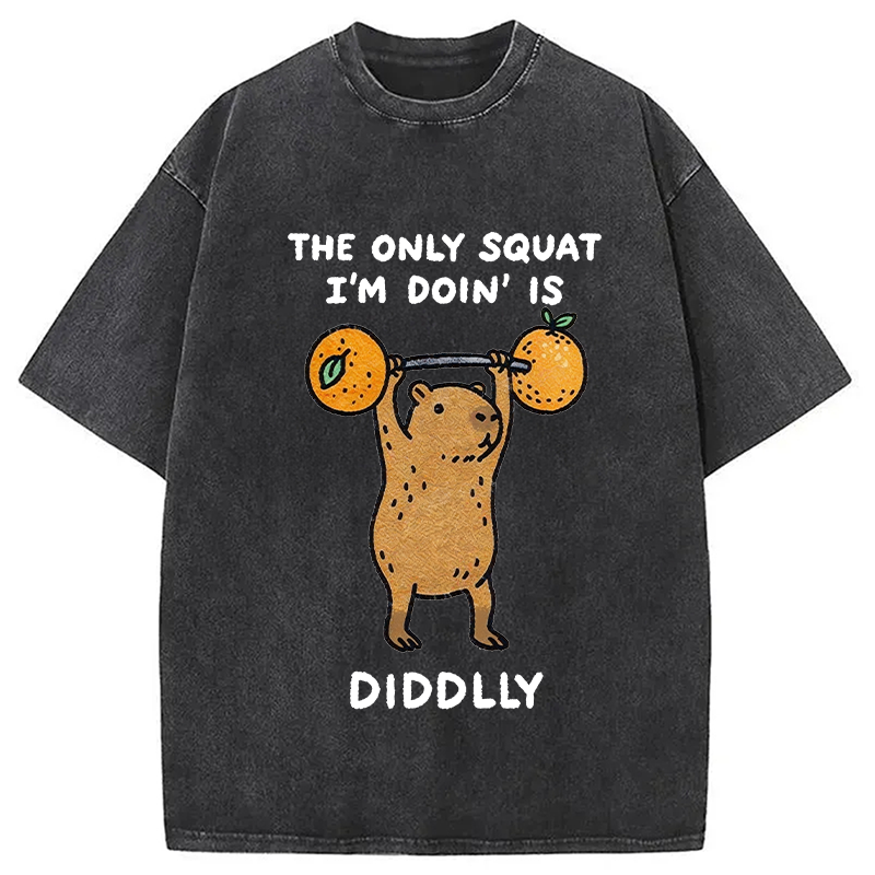 Modecanvas Diddly Capybara Washed T-Shirt