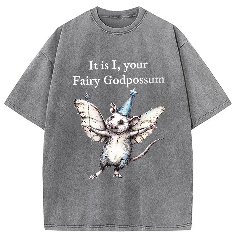 Modecanvas It Is I, Your Fairy Godpossum DTG Printing Washed T-Shirt