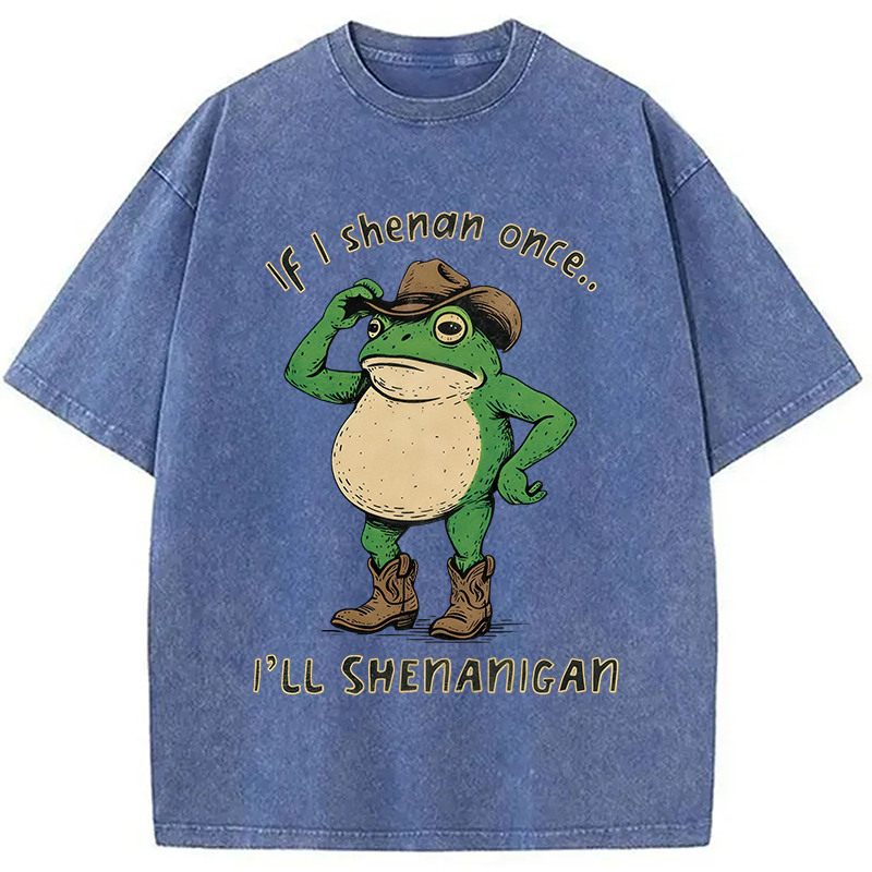 Modecanvas If I Shenan Once Funny Meme Washed T-Shirt-modecanvas