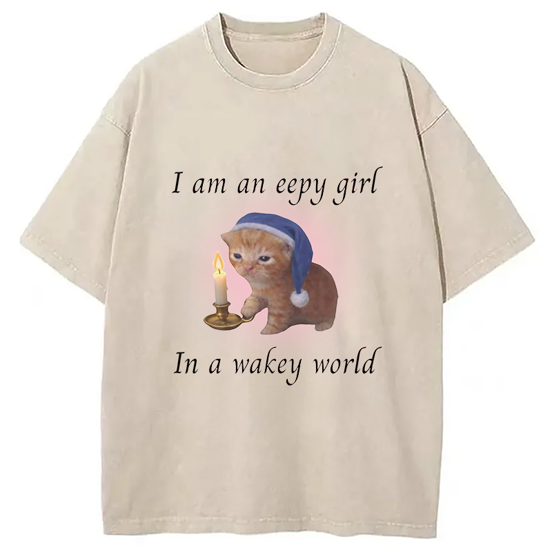 Modecanvas Eepy Girl Cat Meme DTG Printing Washed T-Shirt