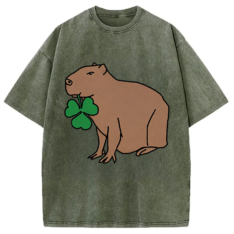 Modecanvas Cute Capybara with Shamrock DTG Printing Washed T-Shirt