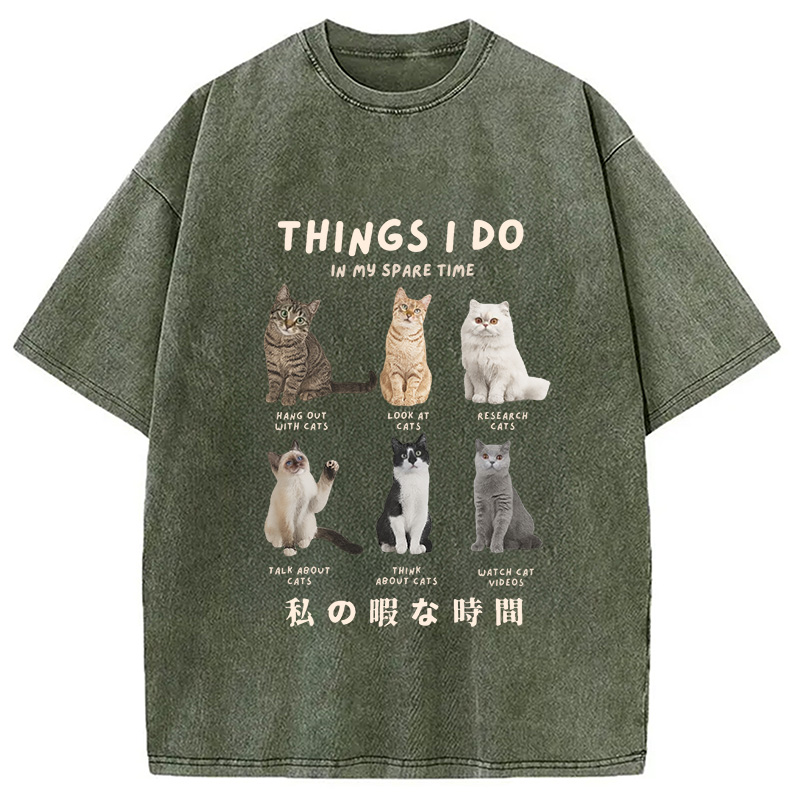 Modecanvas Things I Do In My Spare Time Funny Cat Washed T-Shirt