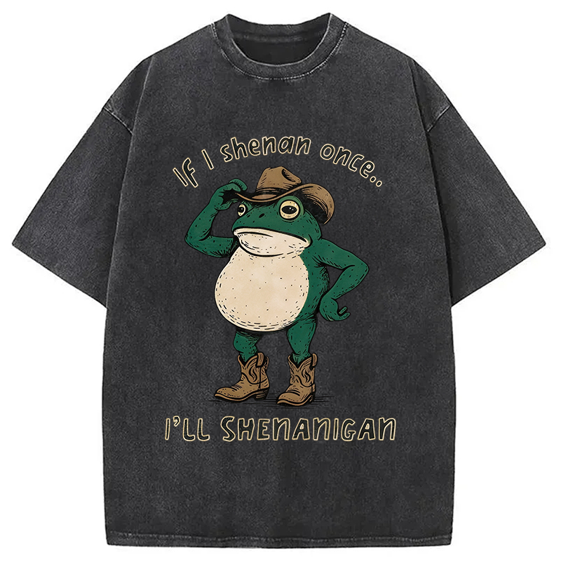 Modecanvas If I Shenan Once Funny Frog DTG Printing Washed T-Shirt
