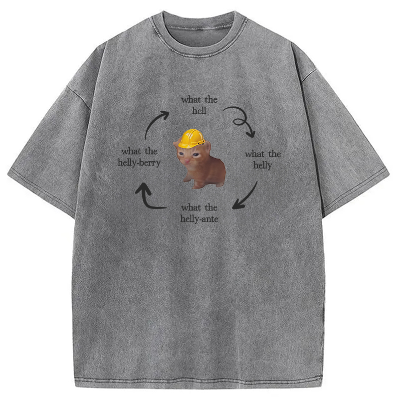 Modecanvas What The Helly Funny Cat Meme DTG Printing Washed T-Shirt