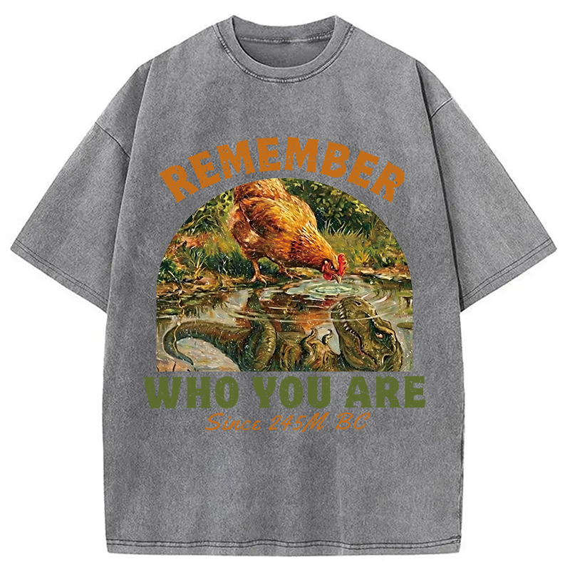 Modecanvas Remember Who You Are Funny DTG Printing Washed T-Shirt