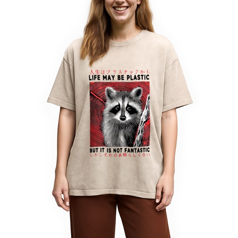 Modecanvas Raccoon Vintage Japanese Washed T-Shirt