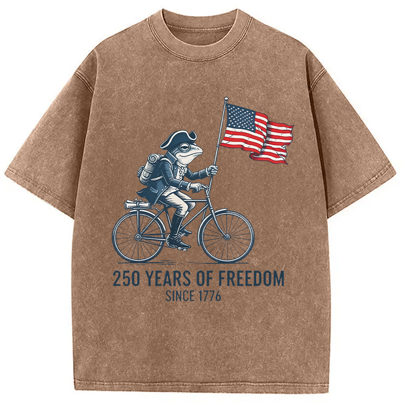 Modecanvas American 250th Anniversary Funny Frog DTG Printing Washed T-Shirt