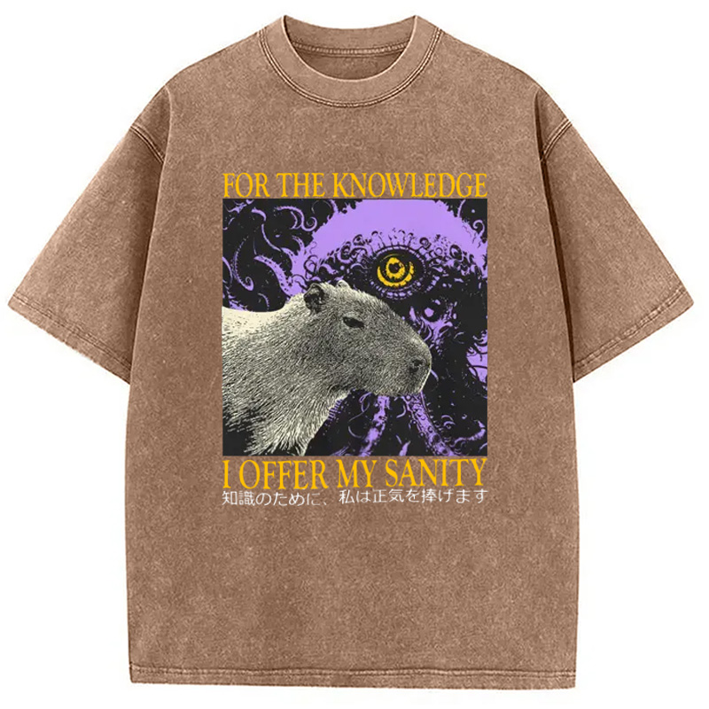 Modecanvas I Offer My Sanity Vintage Japanese Capybara Washed T-Shirt