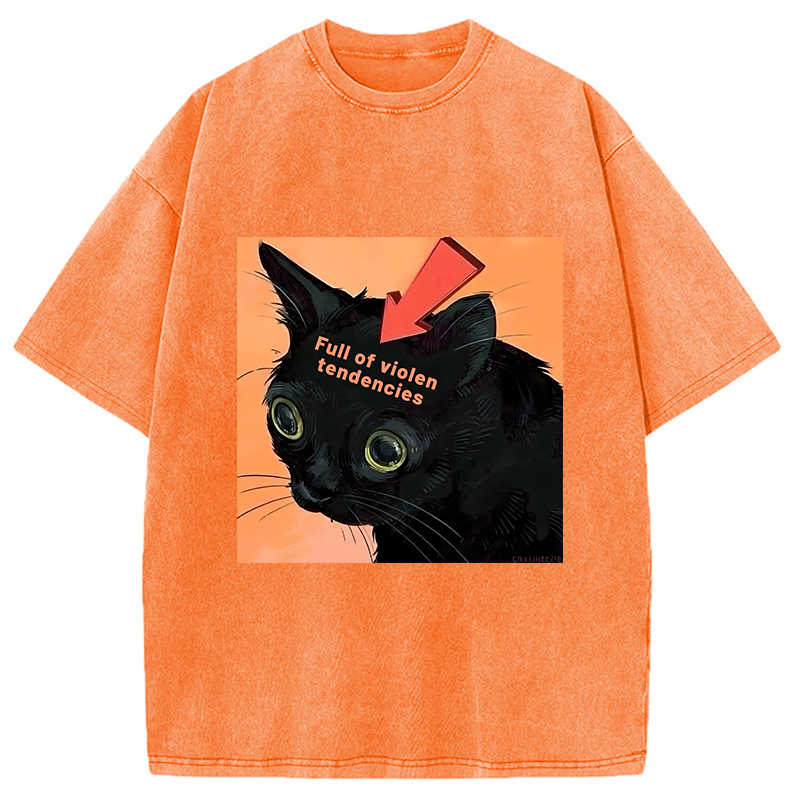 Modecanvas Full of Violen Tendencies Washed T-Shirt