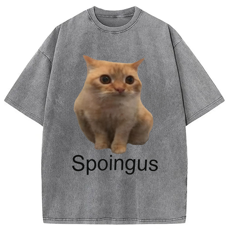 Modecanvas Spoingus The Cat Meme DTG Printing Washed T-Shirt