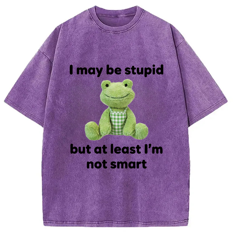 Modecanvas I May Be Stupid Alcohol Lover DTG Printing Washed T-Shirt