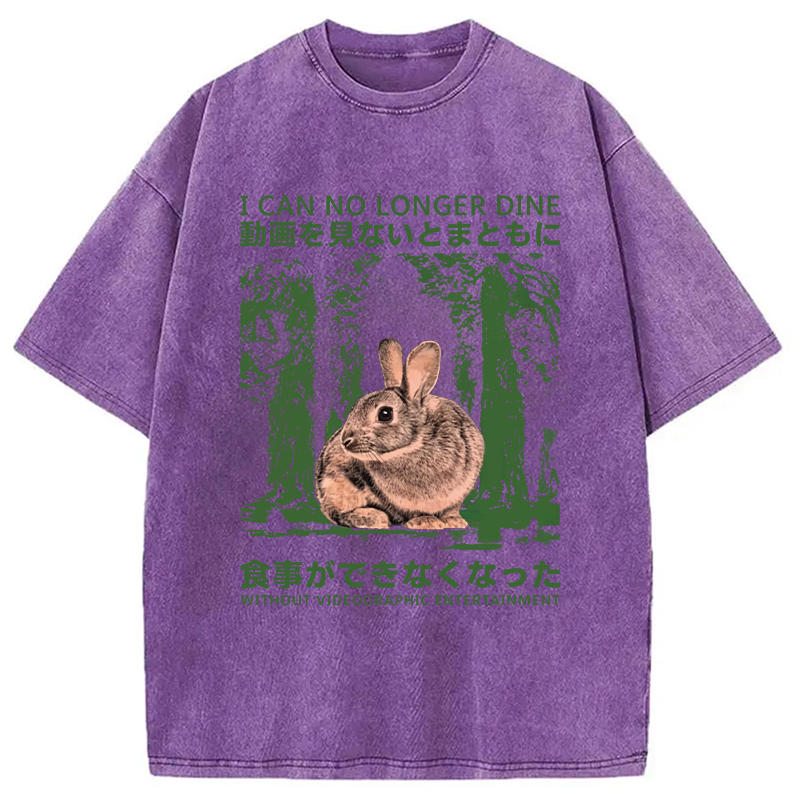Modecanvas Vintage Japanese Horror Bunny DTG Printing Washed T-Shirt