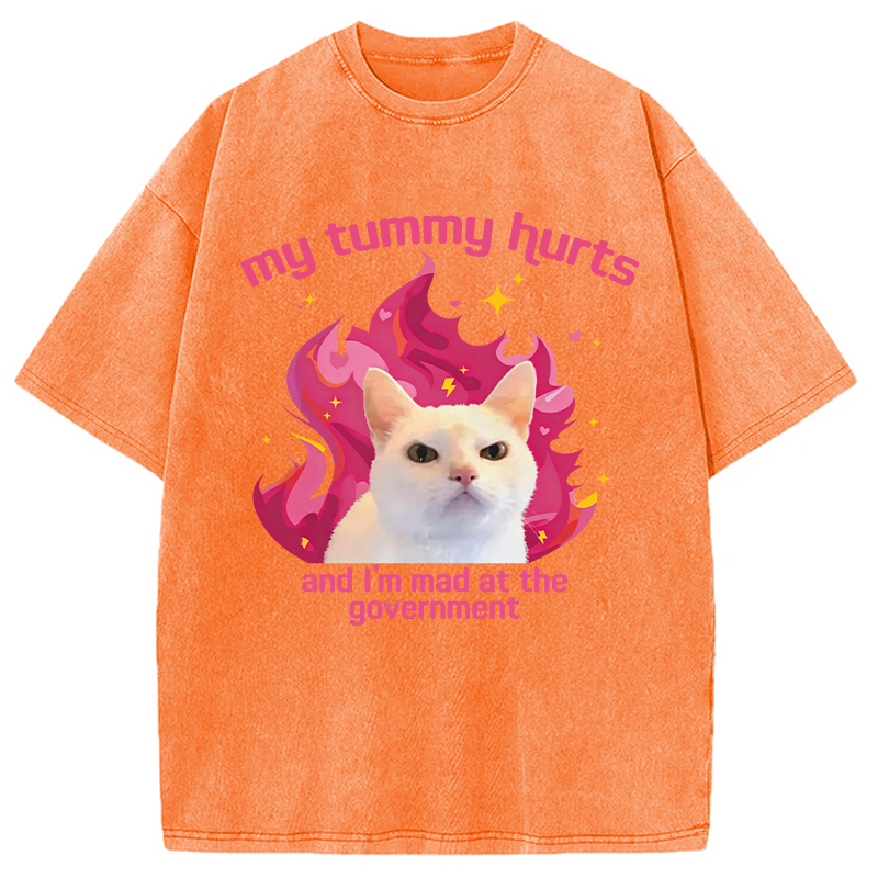 Modecanvas My Tummy Hurts Funny Cat Meme DTG Printing Washed T-Shirt