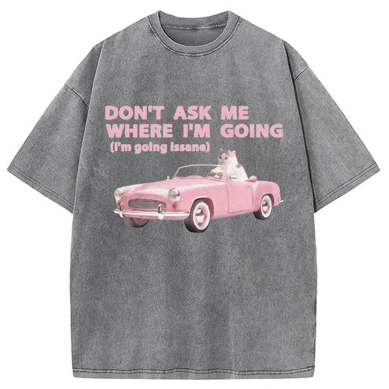 Modecanvas Im Going Insane Cat Meme DTG Printing Washed T-Shirt