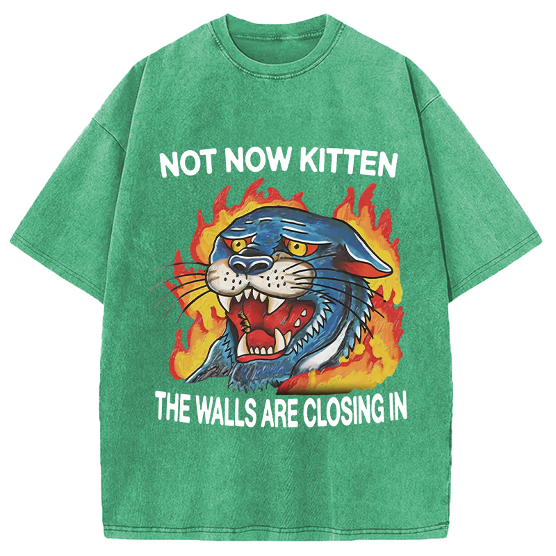 Modecanvas Not Now Kitten DTG Printing Washed T-Shirt