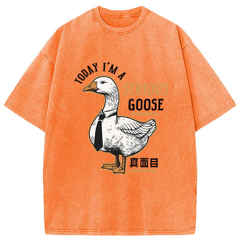 Modecanvas Japanese Serious Goose Washed T-Shirt