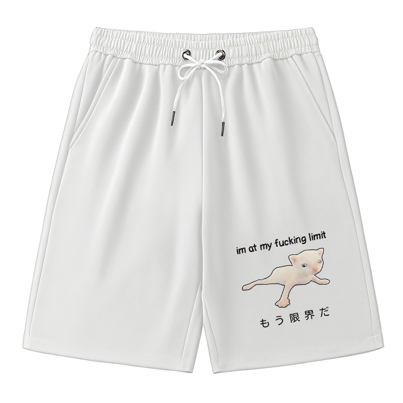 Modecanvas Cat Reaching Its Limit Classic Short