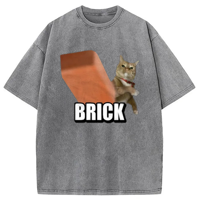 Modecanvas Funny Cat Throwing Brick Washed T-Shirt