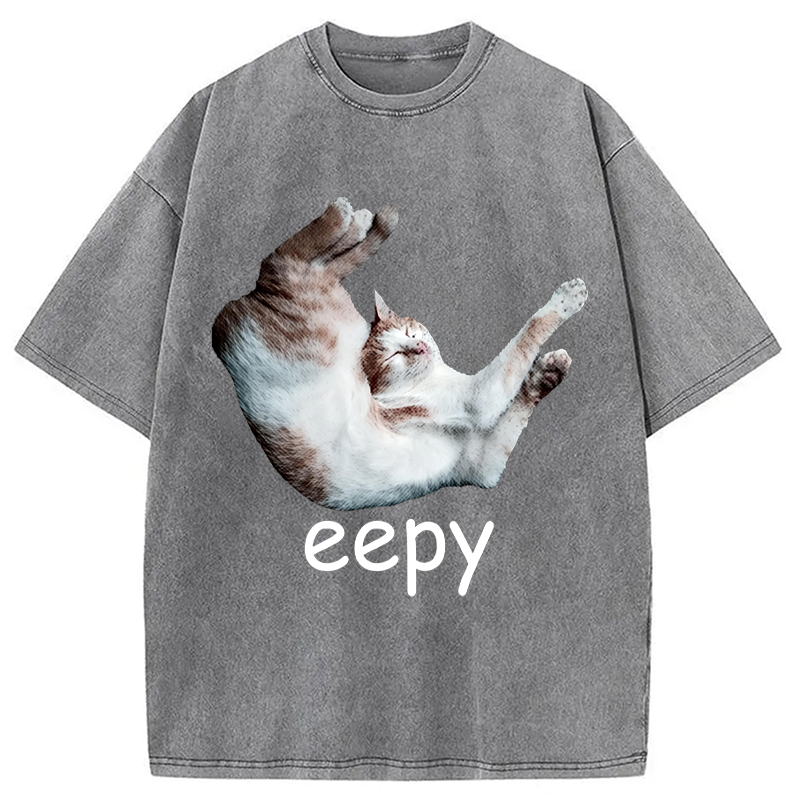 Modecanvas Silly Sleepy Cat Meme DTG Printing Washed T-Shirt