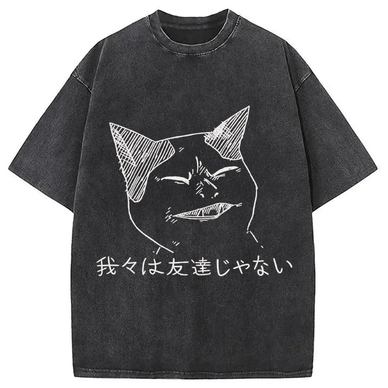 Modecanvas Angry Cat Funny Washed T-Shirt